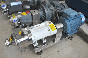 Hygienic Stainless Steel Pharmaceutical Transfer Pump Double Screw Pump